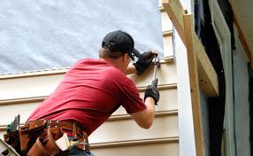 Best Siding for New Construction  in Rineyville, KY